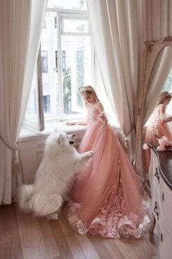 Pink Princess Dress Long Sleeves(Pink Princess Dress Long Sleeves) 9 Pink Princess Dress Long Sleeves(Pink Princess Dress Long Sleeves) -Mia Bambina Store 3100 pink princess dress long sleeves mia bambina boutique 15532706496577