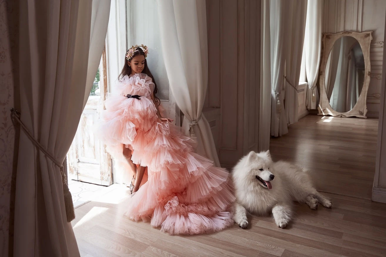 Girls Ruffled High Low Dress(3101 Ruffled High Low Dress) 4 Girls Ruffled High Low Dress(3101 Ruffled High Low Dress) - Image 4