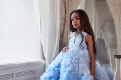 Blue Quinceanera Dress Ball Gown(3103 Blue Quinceanera Dress Ball Gown) 11 Blue Quinceanera Dress Ball Gown(3103 Blue Quinceanera Dress Ball Gown) -Mia Bambina Store 3103 2