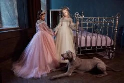 Girls Long Tulle Dress In Blush Pink(3112 Long Tulle Dress) -Mia Bambina Store 3112 long sleeved tulle dress mia bambina boutique 15552046399553