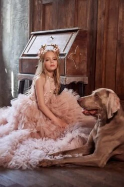 Girls Ruffled Pink Dress For Special Occasions(Girls Ruffled Pink Dress For Special Occasions)