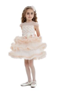 Peach Blush Fluffy Dress(Peach Blush Fluffy Dress)