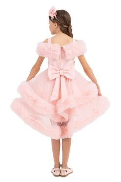 Girls Pink Ruffle Dress(Girls Pink Ruffle Dress) -Mia Bambina Store 33163PR Powder 8