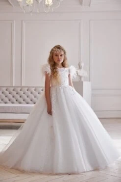 AB045 Ball Gown With Feathered Cap Sleeves(Ab045)