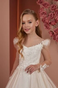 Venus Exclusive A-Line Dress With Long Sleeves(Venus Exclusive A Line Dress With Long Sleeves) -Mia Bambina Store PR102 3