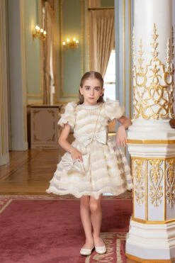 Girls Party Dress With A Chain Handbag(Girls Party Dress With A Chain Handbag In Sizes 4t 8) -Mia Bambina Store P 1395