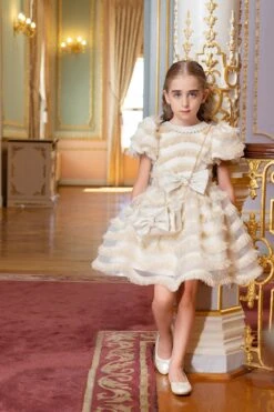 Girls Party Dress With A Chain Handbag(Girls Party Dress With A Chain Handbag In Sizes 4t 8) -Mia Bambina Store P 1404