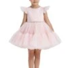 Blush Baby Girl Dress(Blush Toddler Girl Birthday Party Dress In Sizes 1t 5t)