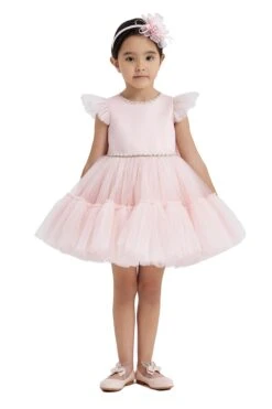 Blush Baby Girl Dress(Blush Toddler Girl Birthday Party Dress In Sizes 1t 5t)