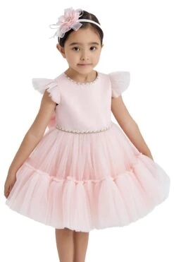 Blush Baby Girl Dress(Blush Toddler Girl Birthday Party Dress In Sizes 1t 5t) -Mia Bambina Store Pamina 2406 a5d27765 8920 48d7 945d 83aaefc00f89