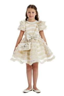 Girls Party Dress With A Chain Handbag(Girls Party Dress With A Chain Handbag In Sizes 4t 8) -Mia Bambina Store Pamina 2728