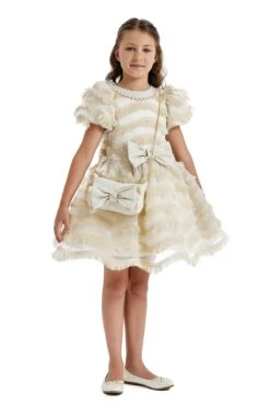 Girls Party Dress With A Chain Handbag(Girls Party Dress With A Chain Handbag In Sizes 4t 8) -Mia Bambina Store Pamina 2731