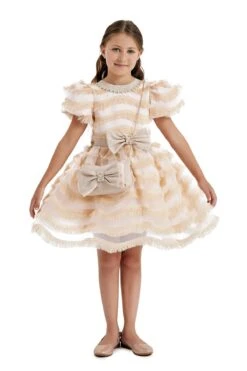 Girls Party Dress With A Chain Handbag(Girls Party Dress With A Chain Handbag In Sizes 4t 8)
