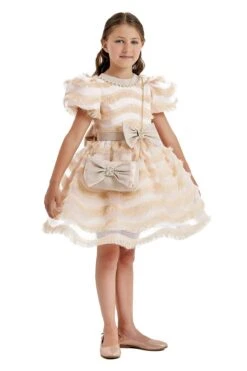 Girls Party Dress With A Chain Handbag(Girls Party Dress With A Chain Handbag In Sizes 4t 8) -Mia Bambina Store Pamina 2748