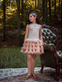 Girls Fancy Tiered Embellished Party Tutu Dress(Girls Fancy Tiered Embellished Party Tutu Dress)