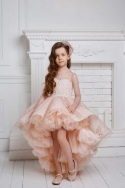 Amelia Couture Girls Pink Sparkly Birthday Dress(Amelia Couture Girls Pink Sparkly Birthday Dress)