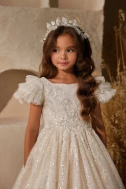 Beatrice Holy Communion Dress(Beatrice Holy Communion Dress)