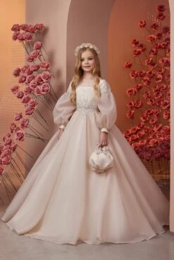 Champagne Blush Princess Gown For Kids(Champagne Blush Princess Gown For Kids)