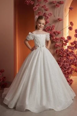 Elegant Lace Princess Dress(Elegant Lace Princess Dress)