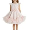 Girls Lace And Tulle Tutu Dress With Ruffles(Girls Lace And Tulle Tutu Dress With Ruffles)