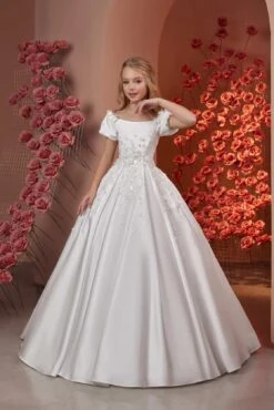 Regal Satin Elegance Dress(Regal Satin Elegance Dress)