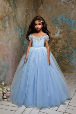 Cinderella Blue Tulle Dress For Girls(Cinderella Blue Tulle Dress For Girls)